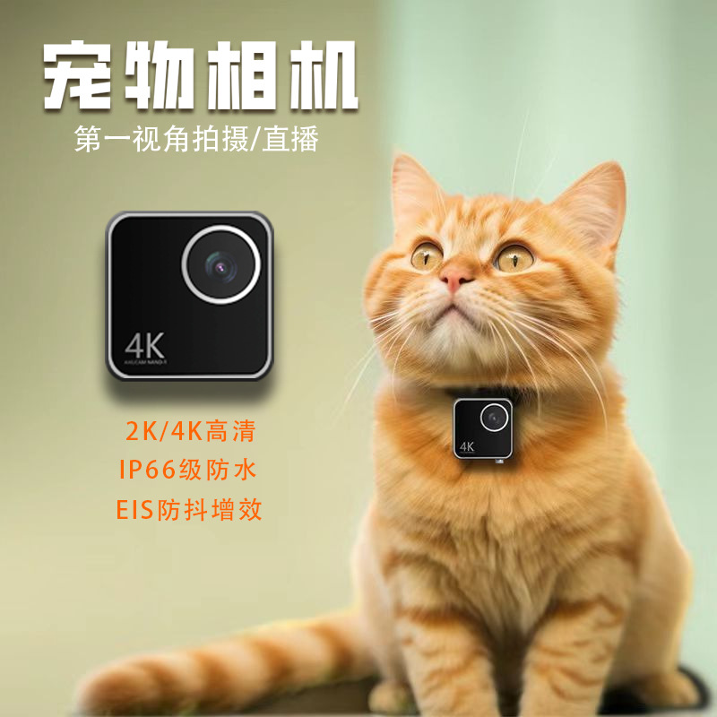 動物用猫犬ペットカメラ　ファーストビュー　スマートカラーネッ - Cameras のレビューと価格