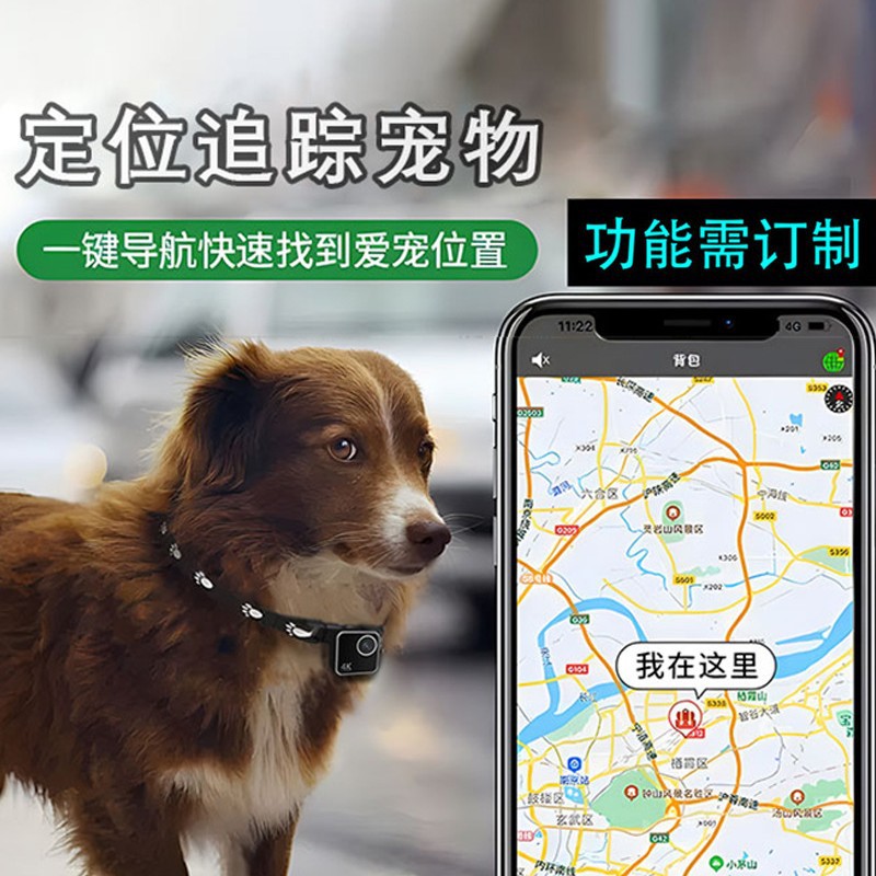 動物用猫犬ペットカメラ　ファーストビュー　スマートカラーネッ - Cameras のレビューと価格