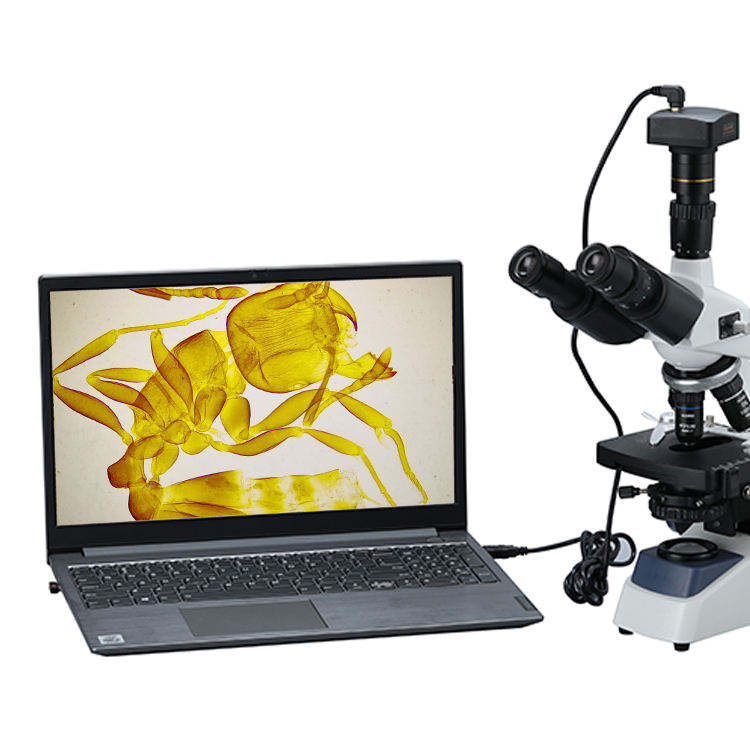 双眼生物デジタルビデオ顕微鏡ディスプレイ |   研究室教育 - Cameras のレビューと価格